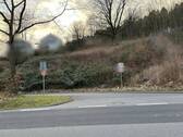 IMG_5599 - 