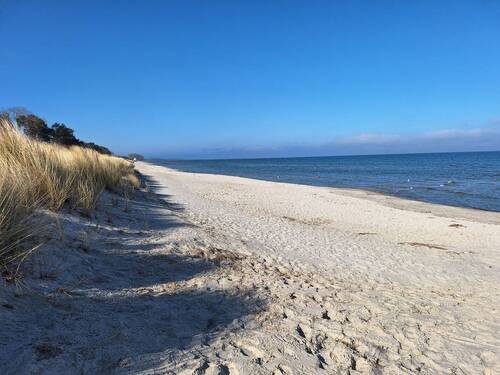 Strand - 
