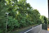 DSC_0927 - 