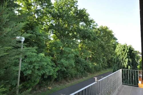 DSC_0927 - 