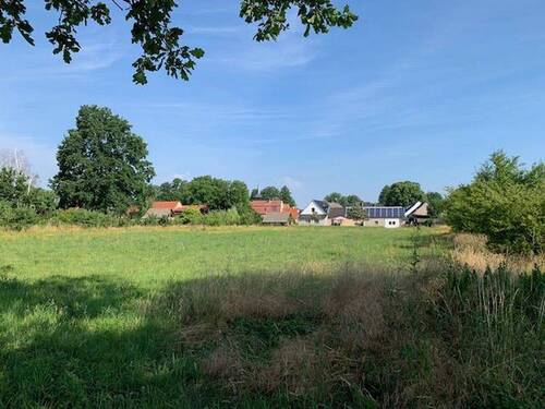 Blick auf eigene Wiese und Hof - 3 Zimmer Mehrfamilienhaus, Wohnhaus zum Kaufen in Luckau