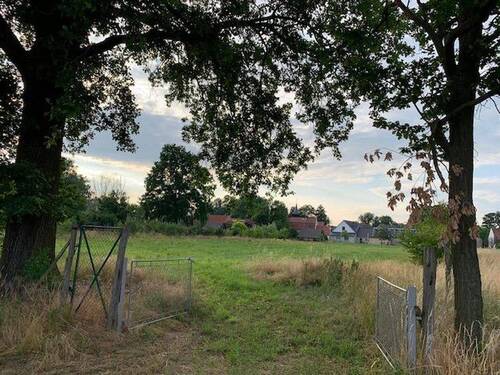 Hintere Einfahrt zur Wiese - 