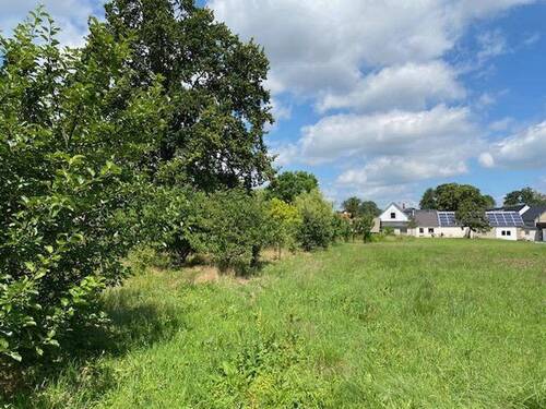 Obstwiese - 