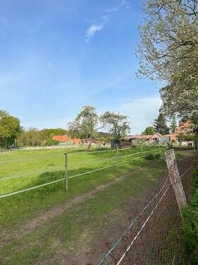 Blick auf Grünflächen und Trail - 