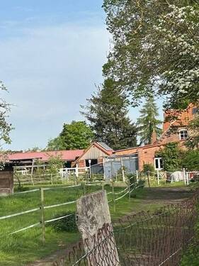 Ansicht über die Grünflächen auf Stallungen - 