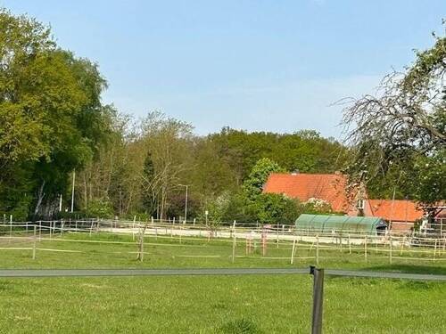 Blick über die Grünflächen zum Reitplatz - 
