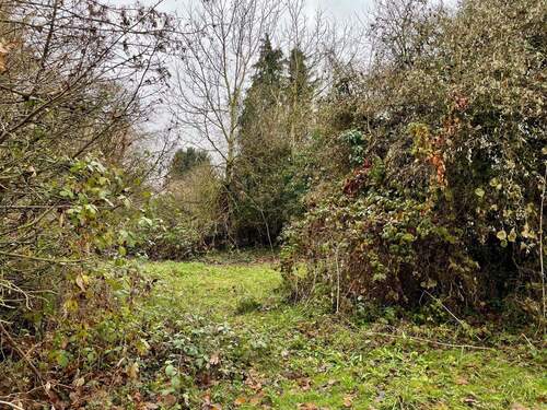 Garten / 2. Grundstück - 