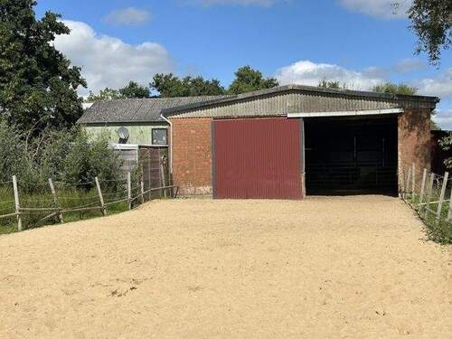 Zugang Halle anl. Paddoc - 