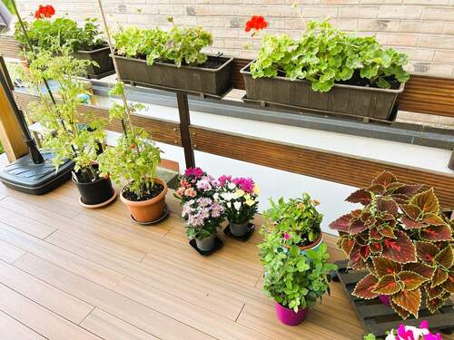 Terrasse - 