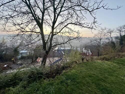 Blick aus dem Garten - 