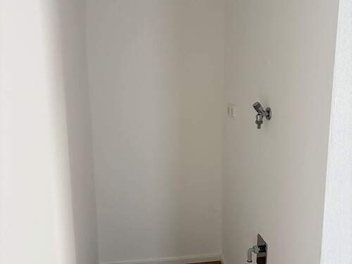 IMG_5395.jpeg - 