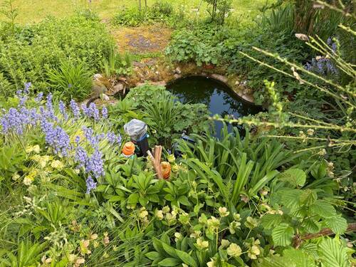 Haus Garten Impressionen (5).JPG - 