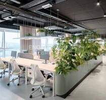 Hohenschönhauser Tor: Perspektive am Volkspark Prenzlauer Berg - Berlin Alt-Hohenschönhausen