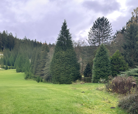 Landschaft - Idyllische 2-Zimmer-Wohnung in grüner und ruhiger Lage von Amtsberg