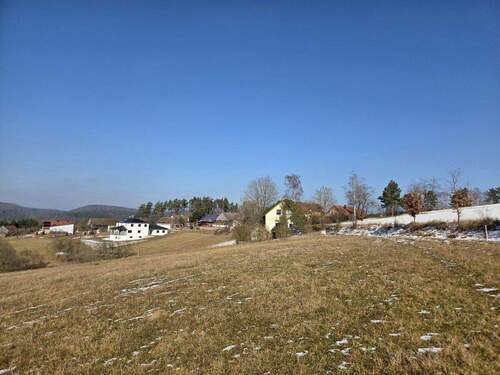 Grundstück - Grundstück zum Kaufen in Nittenau