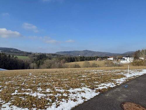 Grundstück von der Straße aus - Grundstück in Nittenau