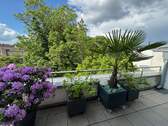 DG Balkon - 