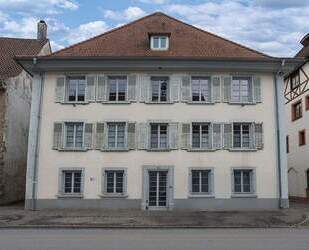 Gewerbeeinheit mit Umnutzungspotenzial ca. 35 km vor der Schweizer Grenze - Hüfingen