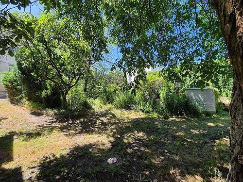 Gartenbereich - 