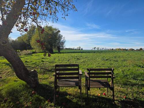 Durchatmen - Ankommen - Grundstück zum Kaufen in Rerik