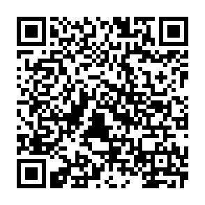 QR-Code - 