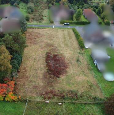 Rückansicht Drohne - Ruhige Lage, großzügiges Grundstück - Raum für Ihre Wohnideen in Rhauderfehn