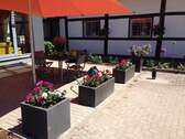 Die sonnige Terrasse - 