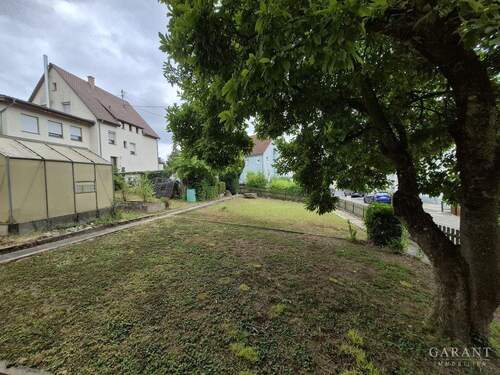 Garten Richtung Strasse - 