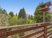 Ausblick von der Terrasse - 