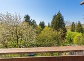 Blick in den Garten - 