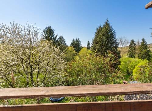 Blick in den Garten - 