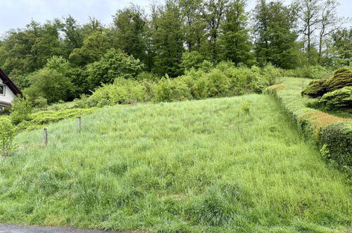 Ansicht von der Straße - **Grundstück in ruhiger Hanglage**