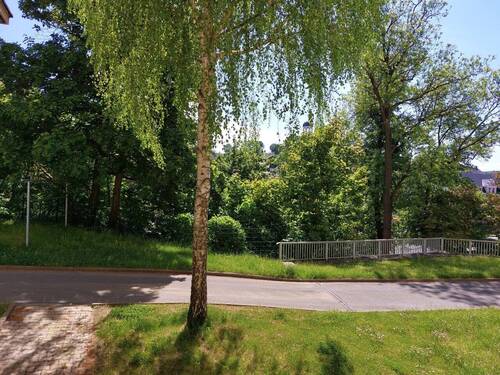 Blick aus der Wohnung - 