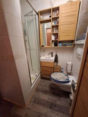 Gäste WC mit Dusche EG - 