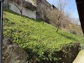 Hang hinterm Haus - 