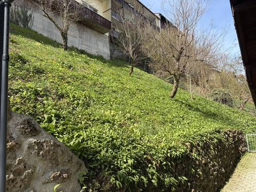 Hang hinterm Haus - 