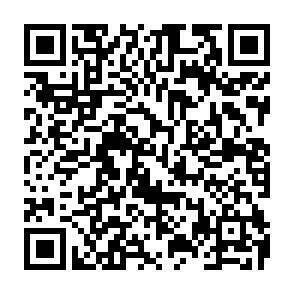 QR-Code - 