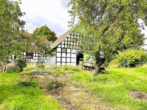 Bild4 - Einfamilienhaus in Hüllhorst zum Kaufen