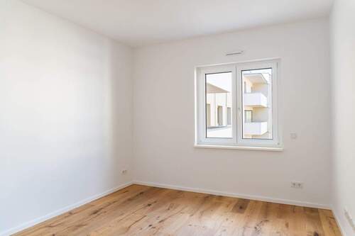 Schazimmer - 3 Zimmer Etagenwohnung zur Miete in Dresden