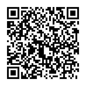 QR-Code - 