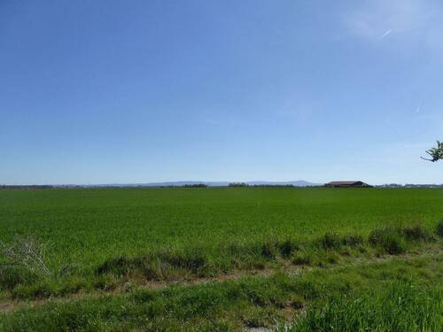 P1110277.jpeg - Grundstück in Riedstadt