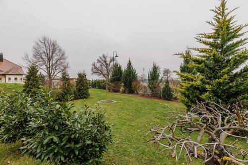 Garten - 