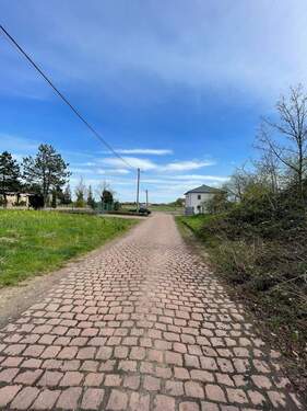 Ansicht - Grundstück in Wallendorf (Luppe)