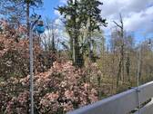 Blick vom Balkon - 2 Zimmer Etagenwohnung zum Kaufen in Darmstadt