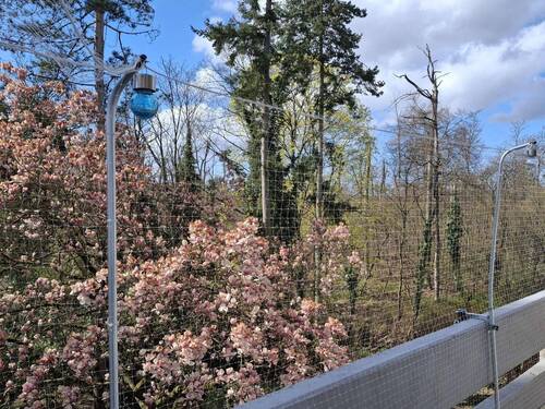 Blick vom Balkon - 2 Zimmer Etagenwohnung zum Kaufen in Darmstadt