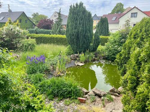 Gartenteich - 