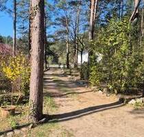 Hauptstadtmakler-Traumhaftes Grundstück in Top Lage - Beelitz / Fichtenwalde