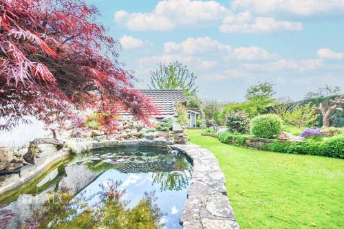 Gartenteich - 