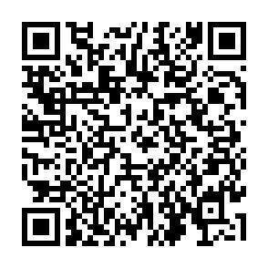 QR-Code - 