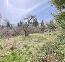 Exponiertes 2.000 m² großes Baugrundstück in Erbach in gesuchter Lage